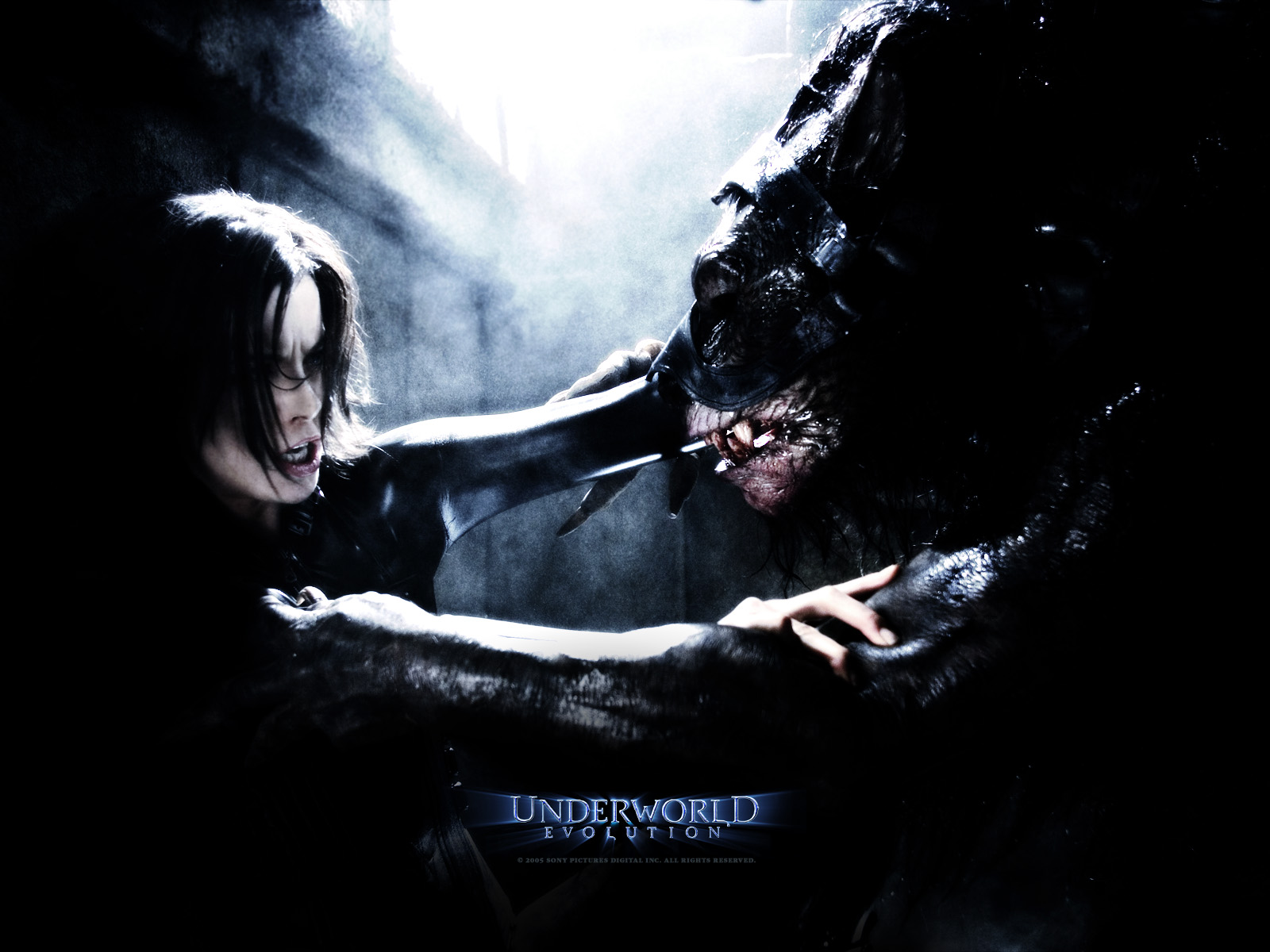 Kate_Beckinsale_in_Underworld _Evolution_Wallpaper_18_1280.jpg