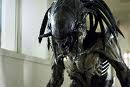 alien vs predator.jpeg
