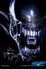 avp.jpeg