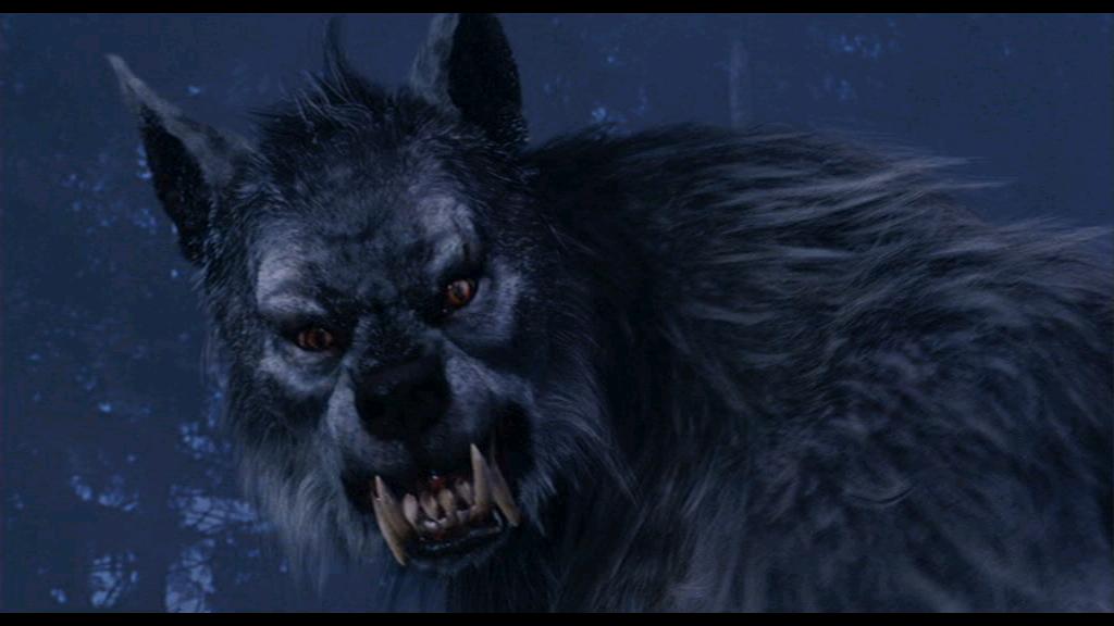 the_wolfman_from_van_helsing1.jpg