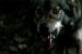 recenzie_2007821322_krv_cokolada6-m.jpg